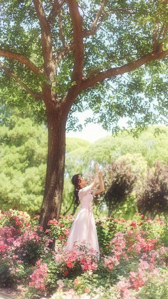 最好免费观看高清在线