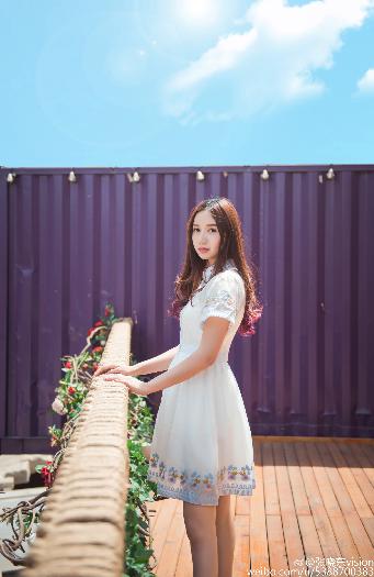 白色橄榄树电视剧完整版免费观看