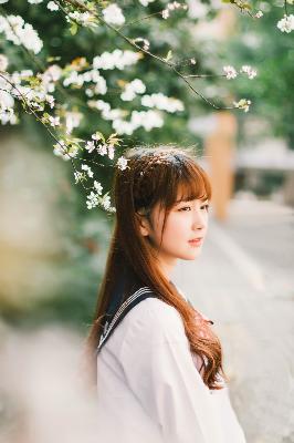 你是我的荣耀电视剧免费观看完整版