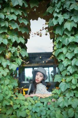 免费观看电视剧电影在线观看