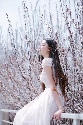 国产最好的高清电视