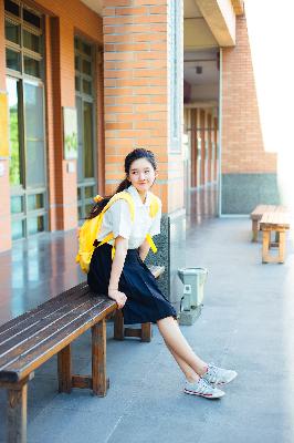 会长是女仆大人动漫完整版