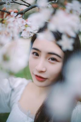 2025年天天免费资料百度中文