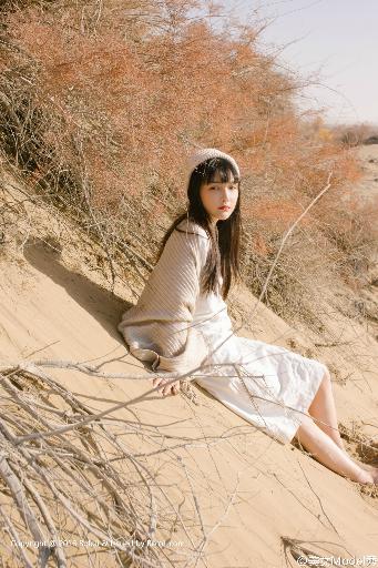 继续播放上次观看的短片内容