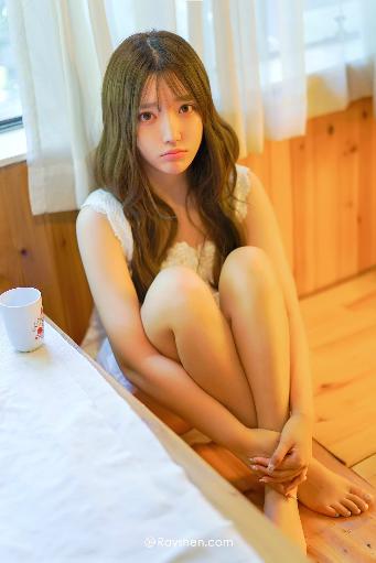 陈情令电视剧免费观看完整版高清