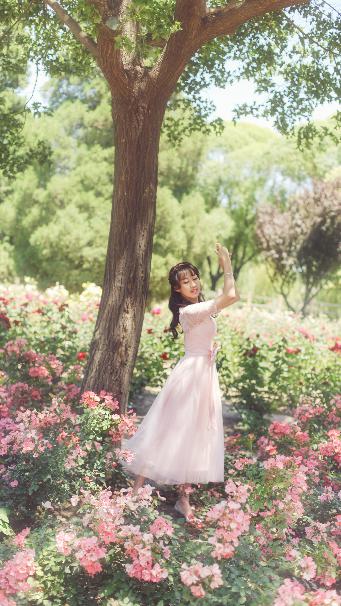 2025年天天免费资料百度中文